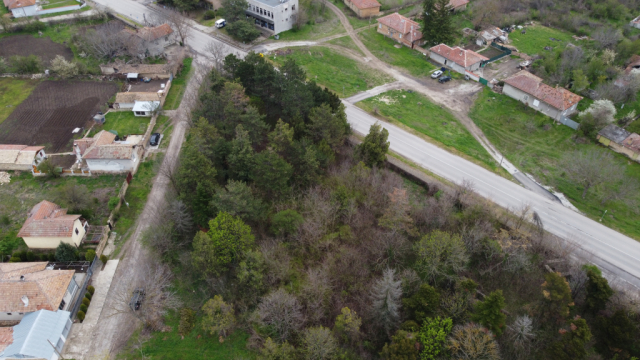 View of the forest attached to the school, Veliko Tornovo Bulgaria